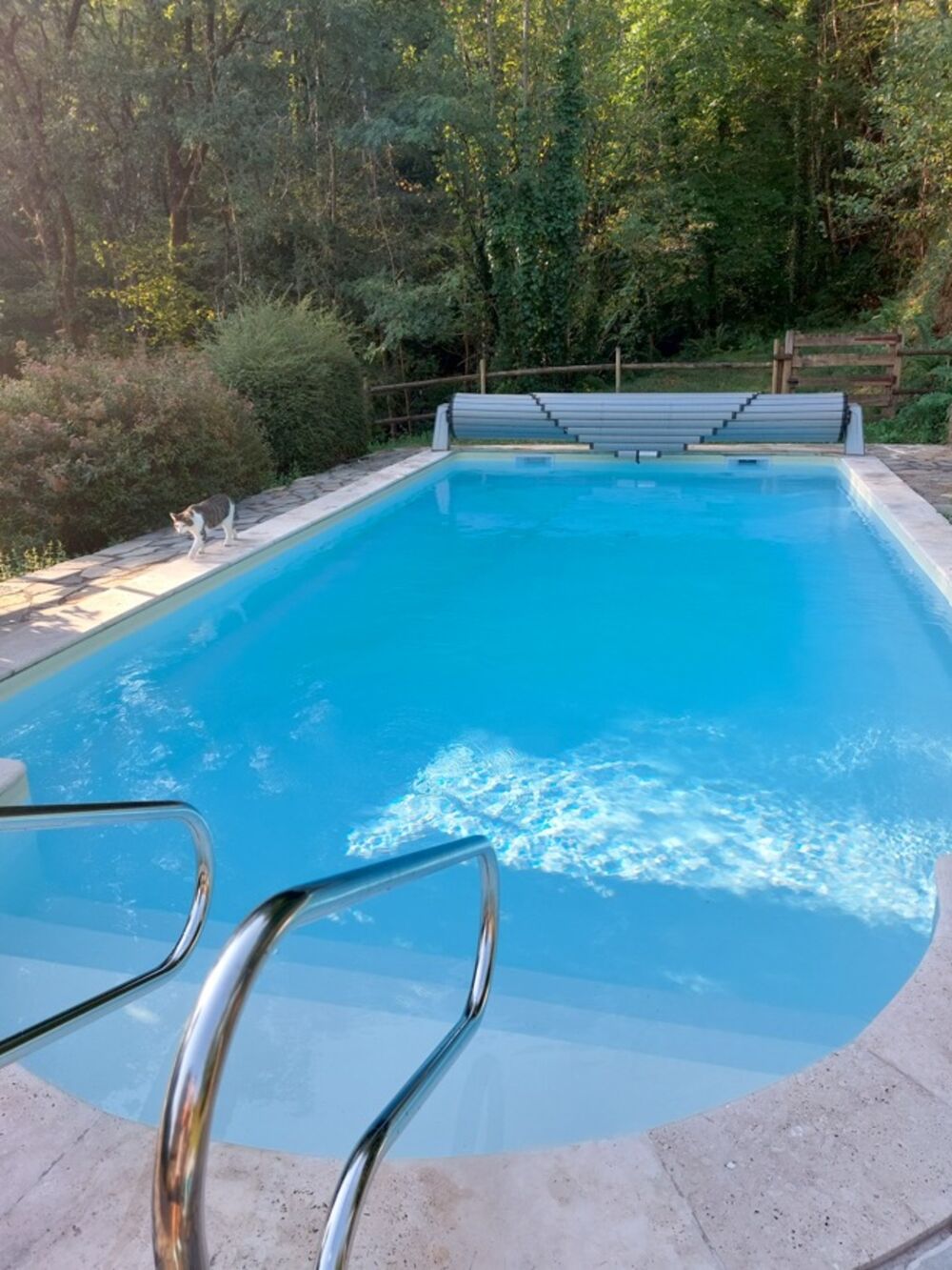 Vente Maison Belle maison de caractère entre le Cantal et l'Aveyron Entraygues sur truyere