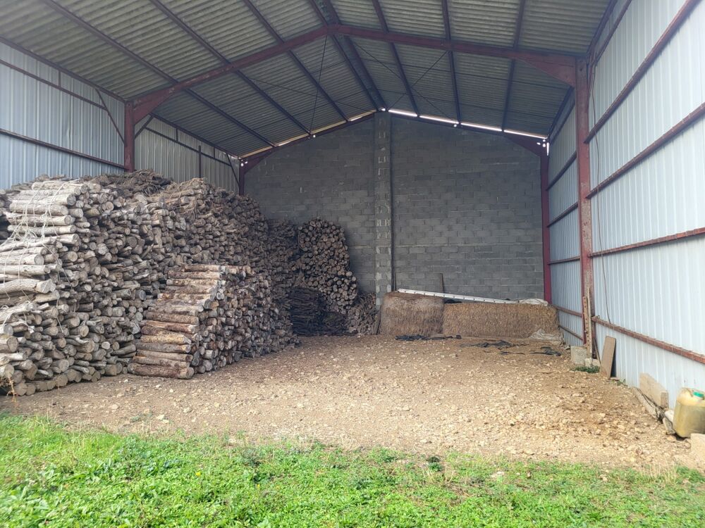 Vente Ferme FERME à vendre THENEZAY (79) Thenezay
