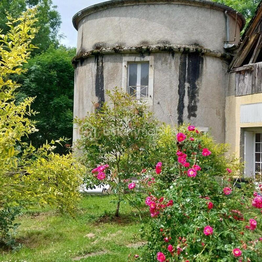 Vente Immeuble Domaine d'exception avec pigeonnier habitable et château historique Navarrenx