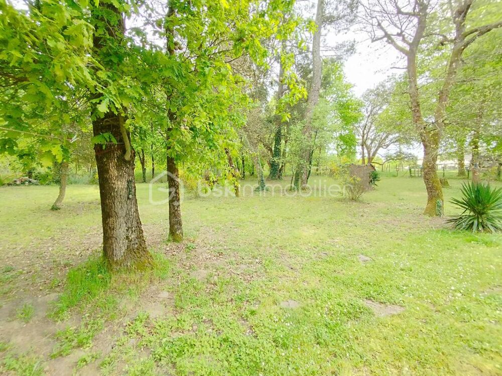 Vente Maison Opportunité à saisir ! Nerac