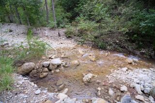  Chalet � vendre 3 pi�ces 70 m� Le mas