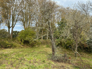  Terrain à vendre 3311 m²