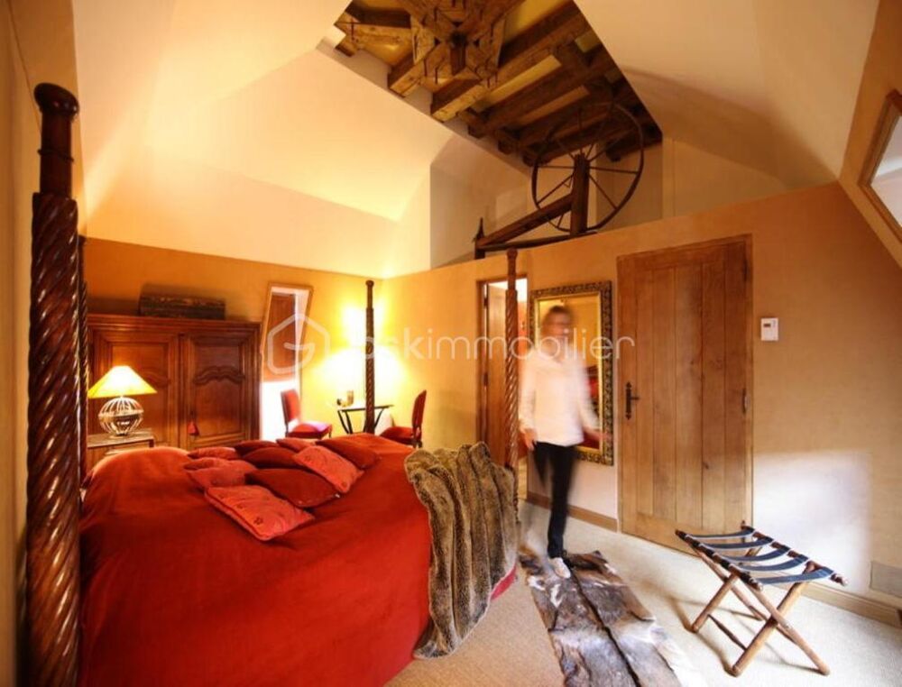  vendre  Proprit/chteau Saint-Flour (15100)