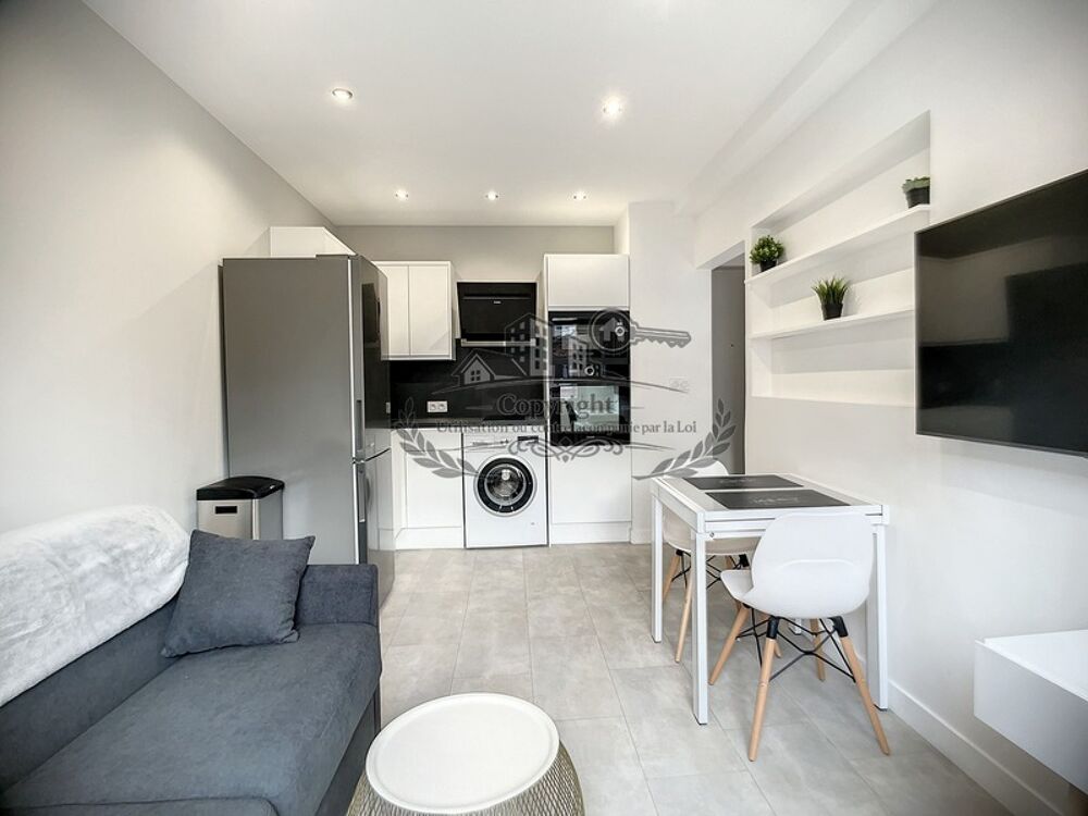 Location Appartement SPACIEUX T1 MEUBLE 28.05 m² avec espace nuit ( lit double 160 cm avec dressing) Lyon 3