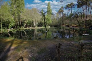  Propri�t�/ch�teau � vendre 2 pi�ces 17317 m� Villandraut