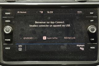 Tiguan 2.0 TDI 190 DSG7 4Motion Carat 2019 occasion 85190 Venansault