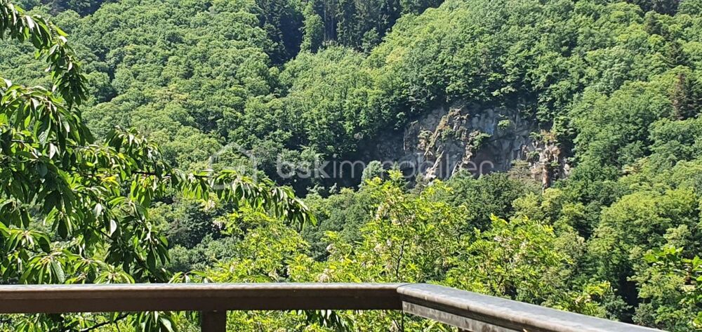 � vendre  Propri�t�/ch�teau Andlau (67140)