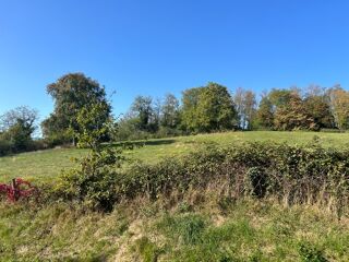 Terrain à vendre 13000 m²