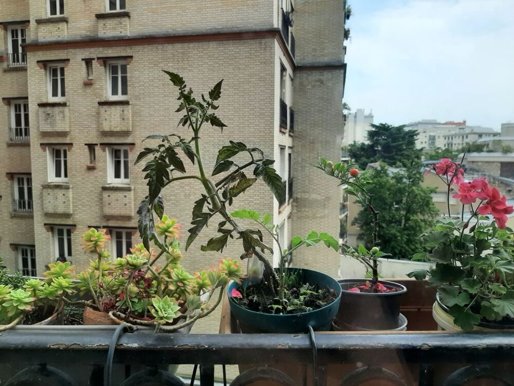 Location Appartement Chambre de 17m2 à louer sur Paris 14 Paris 14