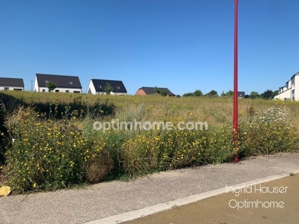 Vente Terrain TERRAINS A VENDRE- PROVILLE (59) Proville