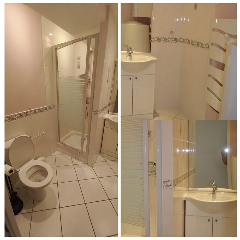 Location Appartement Appartement de 31m2 à louer sur Châtillon-Coligny Chatillon coligny