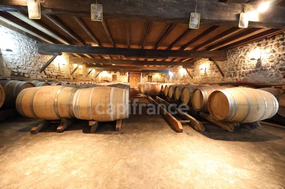   Société d'exploitation viticole – Médoc Cru Bourgeois AOC – Vin médaillé Saint yzans de medoc
