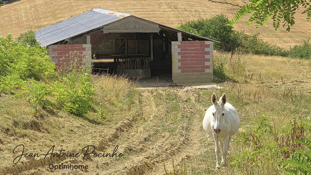 à vendre  Maison Le Pin-Murelet (31370)