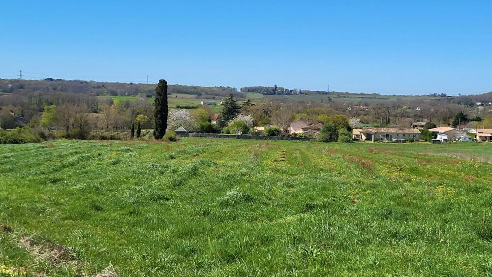Vente Terrain 33220 proche Pineuilh Terrain pour reboisement  d'une superficie de 6ha 37 avec contrat Pineuilh