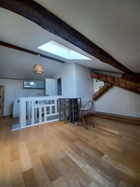   Studio atypique Appartement - 1 pi�ce(s) - 15 m�