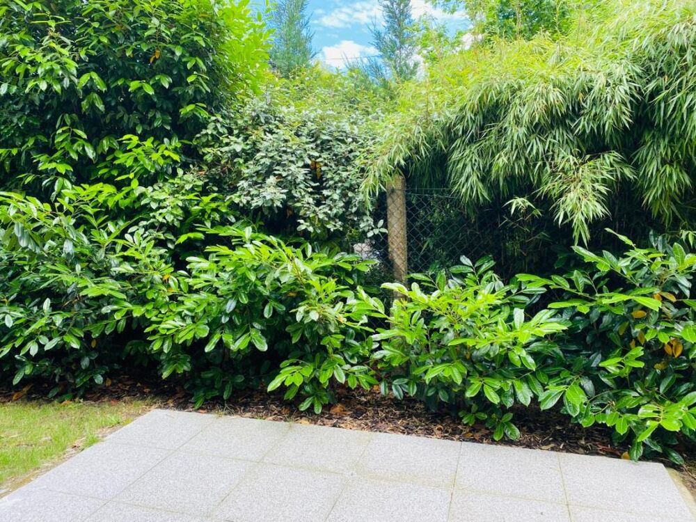 Location Appartement T1 avec terrasse et jardin à La Wantzenau La wantzenau