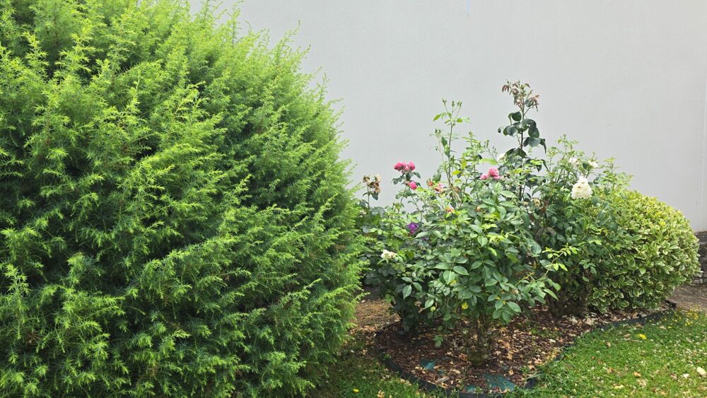 Vente Maison Maison à vendre 8 pièces - dépendance - sous-sol - greniers à RENNES EST- CESSON SEVIGNE (35) Cesson sevigne