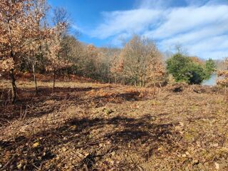  Terrain à vendre 9375 m²