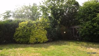  Maison � louer 6 pi�ces 146 m�