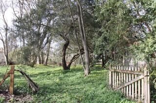  Terrain � vendre 8124 m�