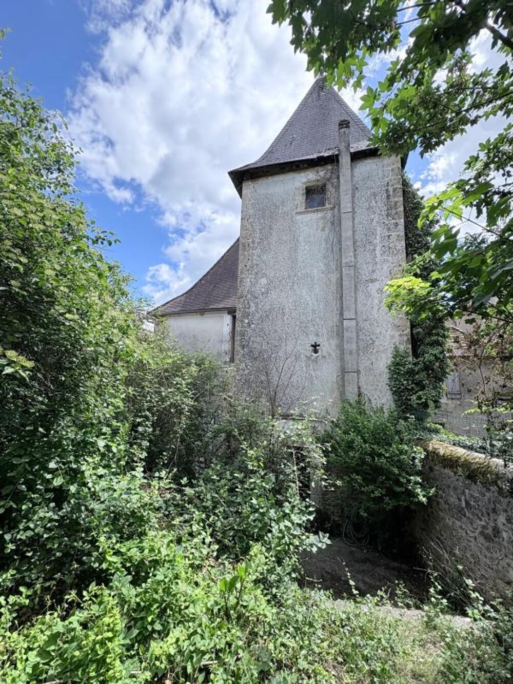 Vente Propriété/Château Grande maison de caractère - avec jardin et boutique à Thiviers Thiviers