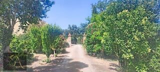  Propri�t�/ch�teau � vendre 15 + pi�ces 1110 m�