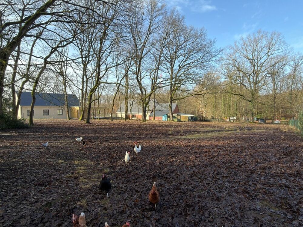 Vente Terrain VERRIE, Terrain à bâtir de 1874m² hors lotissement et libre de constructeur Verrie
