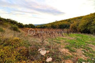  Terrain � vendre 41775 m�