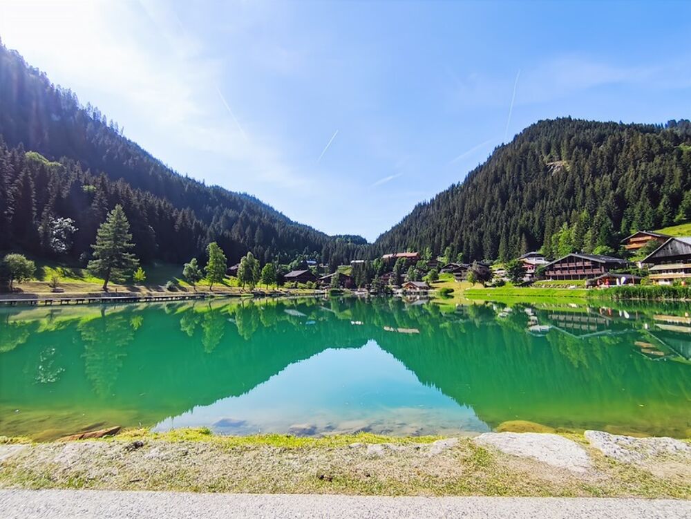 Appartement à vendre 1 pièce - 26,87m² - CHATEL (74390)