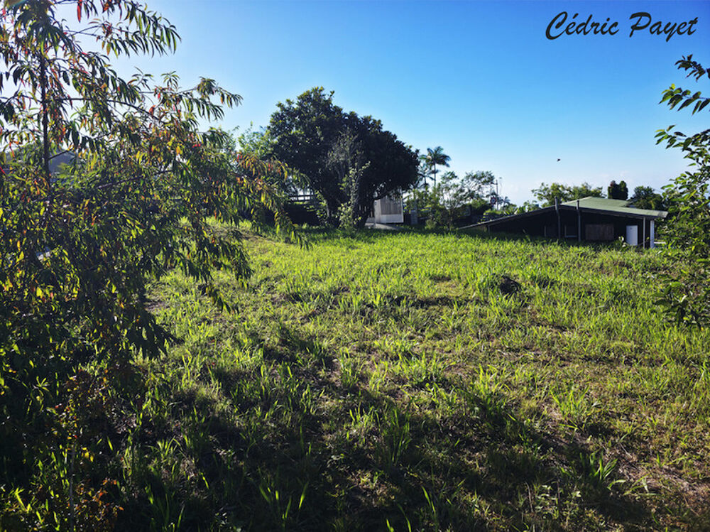 Vente Terrain Terrain à vendre  LES MAKES (97421) Les makes