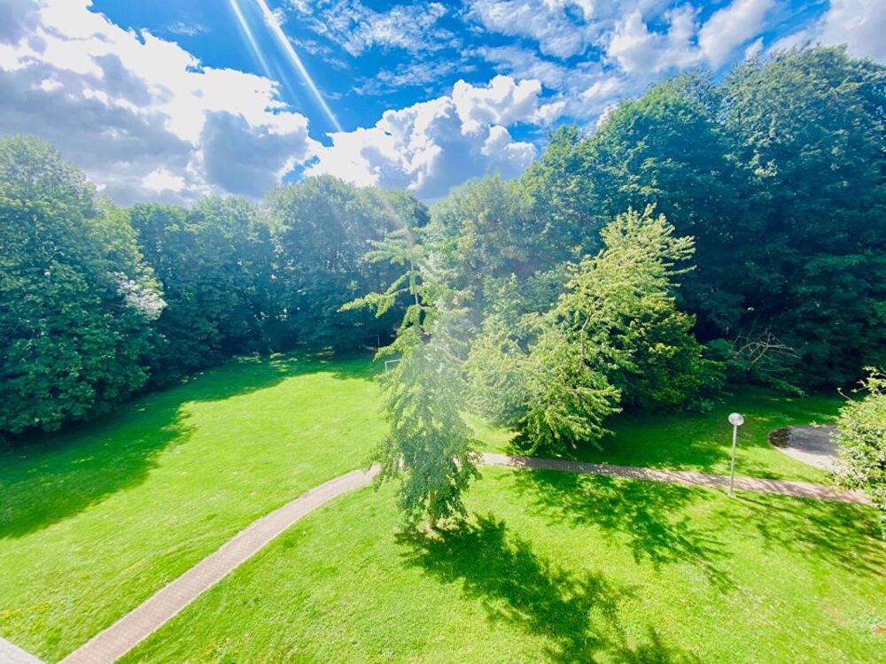 Appartement Torcy 4 pièces plein sud face parc!