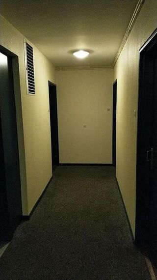  Appartement à louer 1 pièce 24 m²