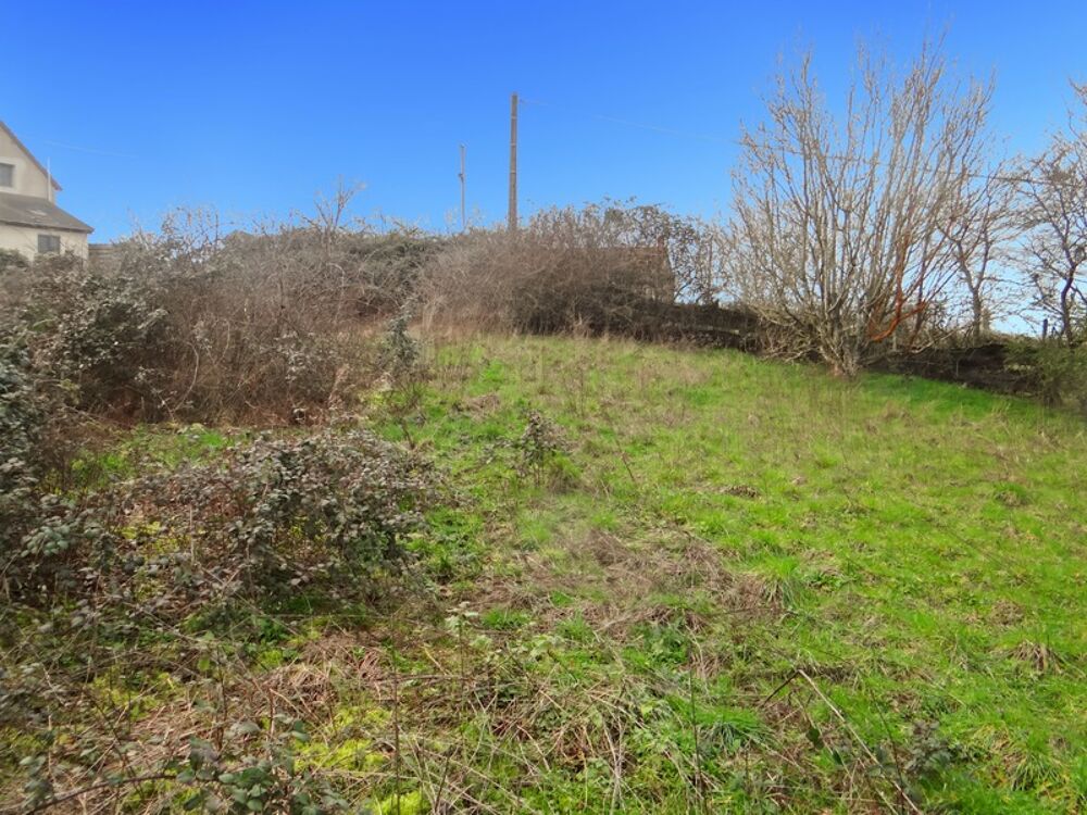 Maison de campagne à rénover  Beau potentiel  Terrain 1 060 m²
