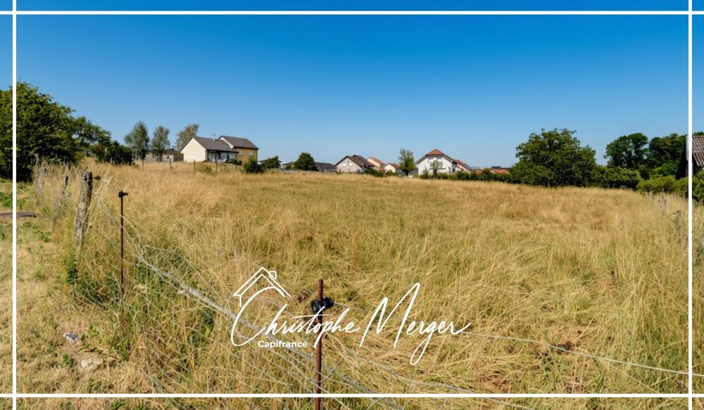 Vente Terrain Terrain constructible à vendre 2100 m² à Lorquin (57), non viabilisé, borné Lorquin
