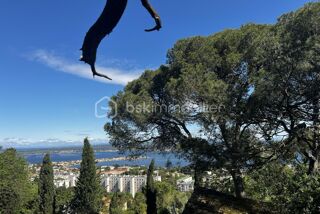  Terrain � vendre 2380 m�