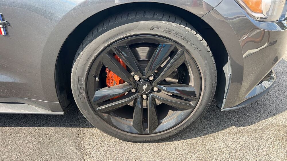 Mustang 2.3 EcoBoost 317 Fastback 2019 occasion 44340 Bouguenais