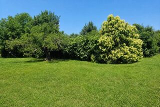  Maison à vendre 1 pièce 150 m²