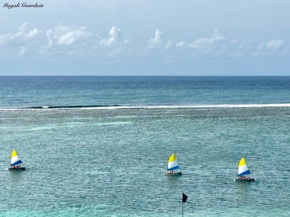 � vendre  Appartement Saint-Fran�ois (97118)