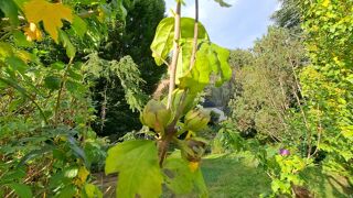  Terrain � vendre 652 m�