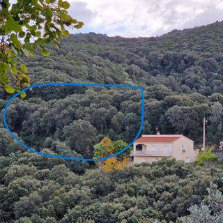  Terrain � vendre 2032 m�