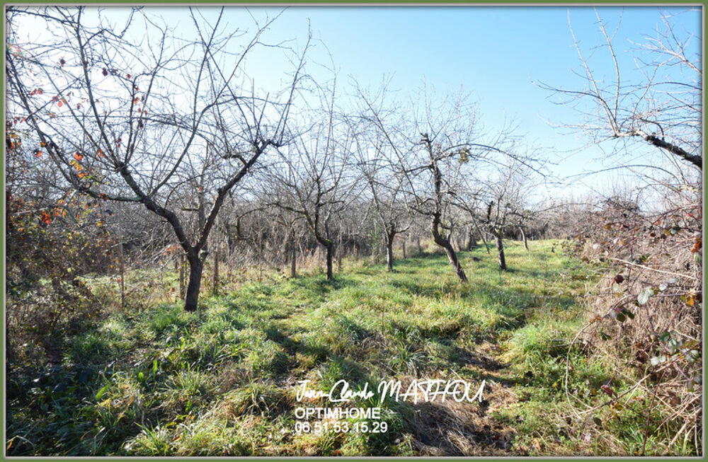 Vente Autre A Vendre Hangar d'environ 170 m2 sur un terrain agricole Bio 4500 m2 Daumazan sur arize