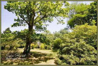  Propriété/château à vendre 7 pièces 288 m²