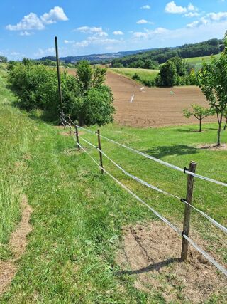  Terrain à vendre 66308 m²