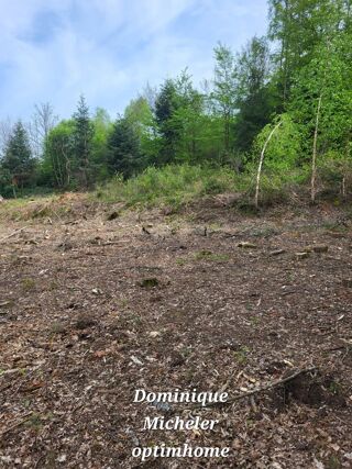  Terrain  vendre 1118 m