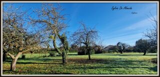  Terrain à vendre 1604 m²