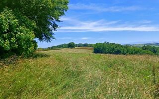  Terrain à vendre 50000 m²