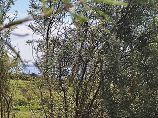  Terrain � vendre 2138 m�