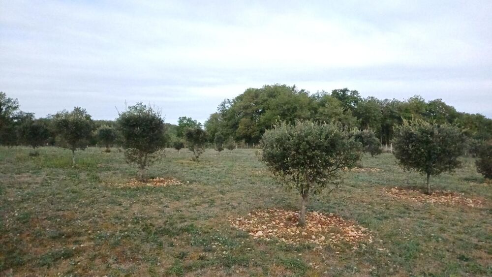 à vendre  Propriété/château Gabillou (24210)