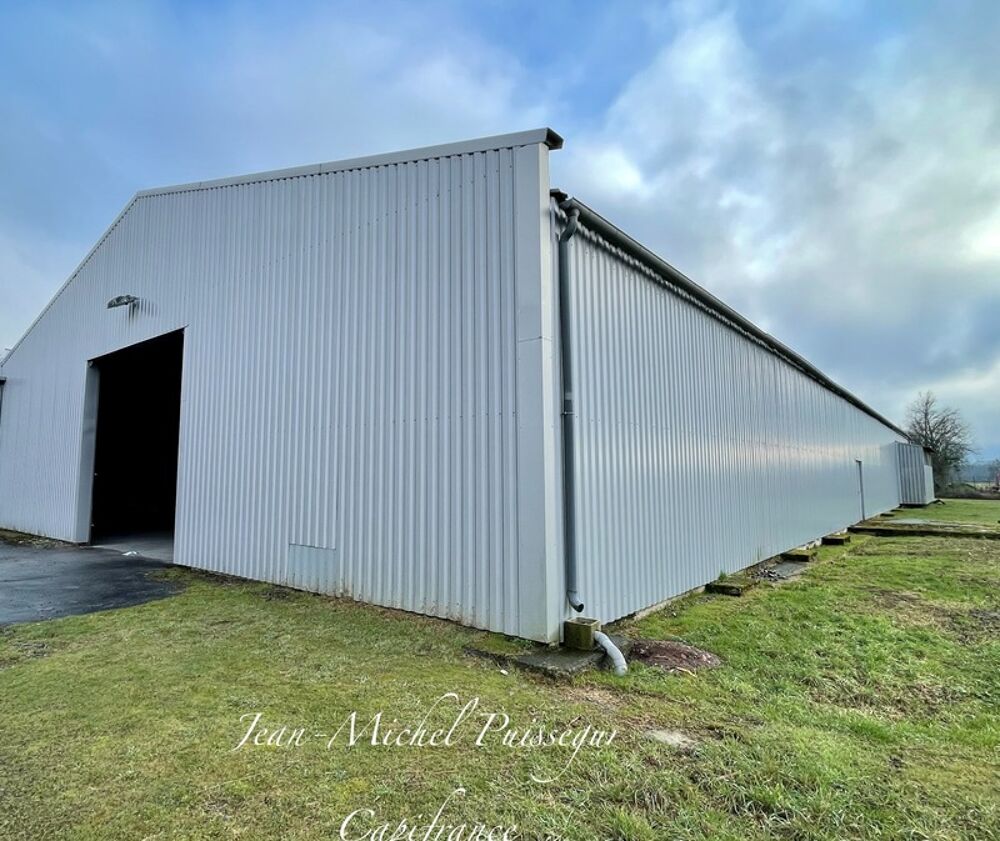   Entrepôt/Bureaux 1000m2 à louer à VILLENEUVE DE RIVIERE (31), Terrain de 7900m2 