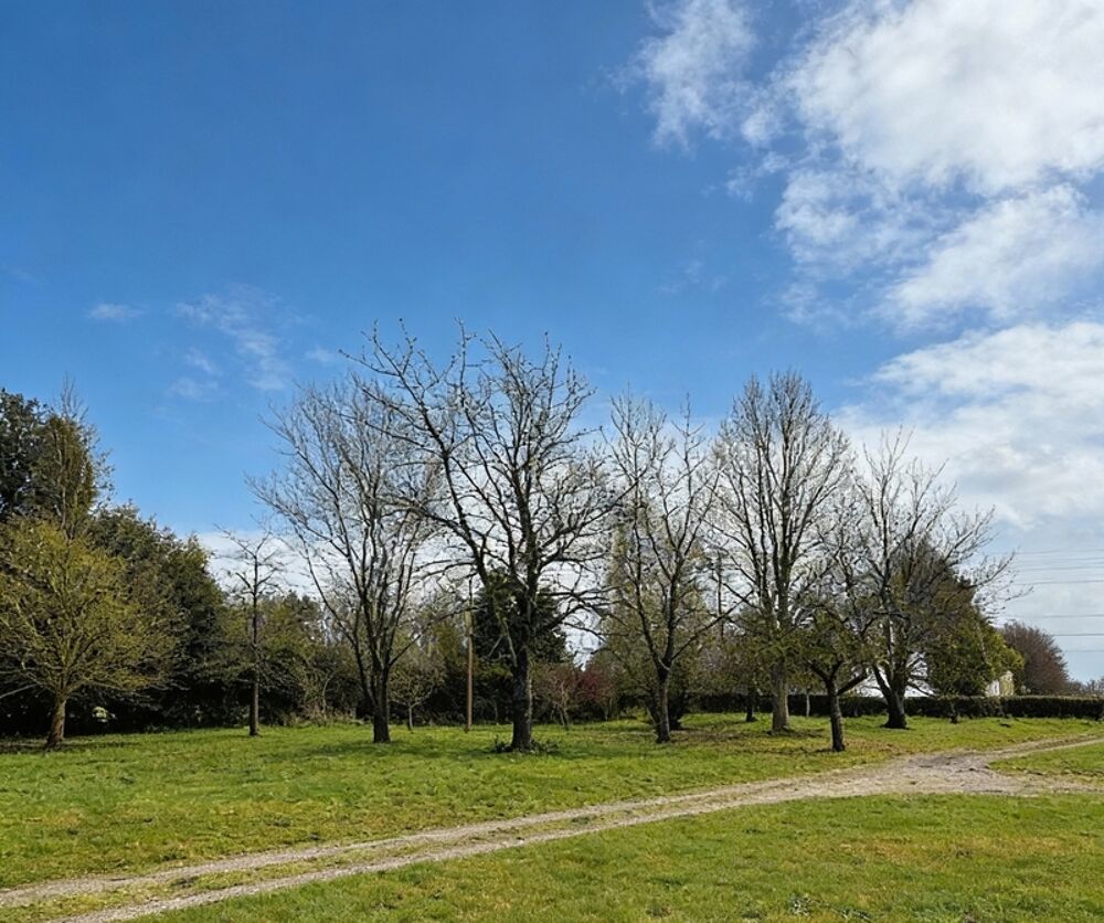 Vente Maison Volume et grand terrain Routot